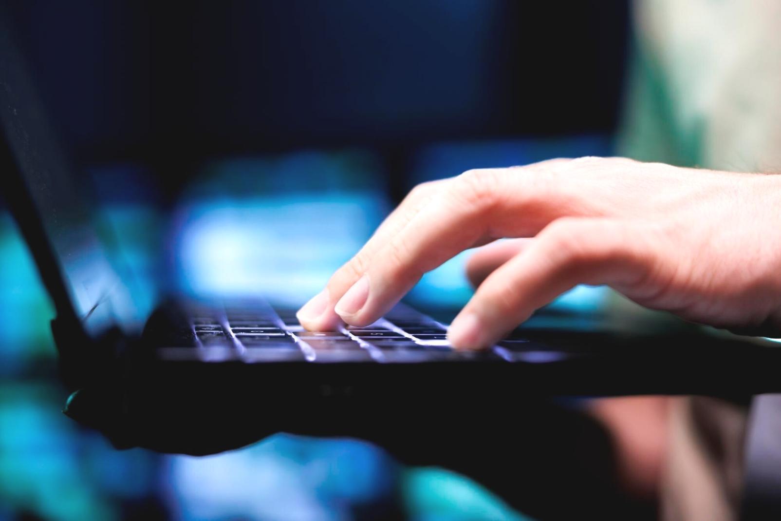 Students working collaboratively on web design projects in our learning environment